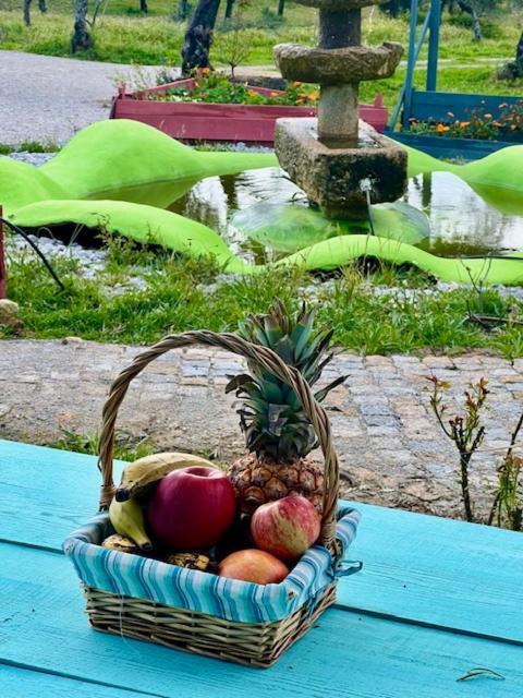 Zion Jardim Monsanto Panzió Kültér fotó