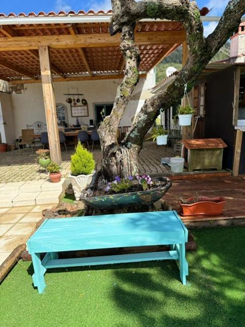 Zion Jardim Monsanto Panzió Kültér fotó